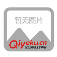 供應鎳鎘.鎳氫普通堿性干電池充電器(圖)